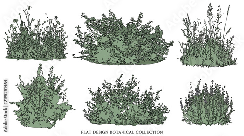 botanical collection set of green bush vector illustrations and wild plant shrubs for landscape architectural design
