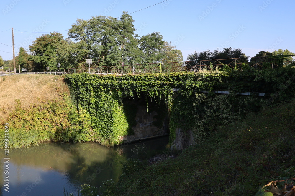 Fototapeta premium Canal latéral à la Garonne, ville de Damazan, département du Lot et Garonne, France