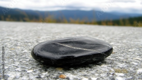 Close-up of a Small Black Circular Object Resting on Asphalt with a Scenic Mountain and Forest Backdrop