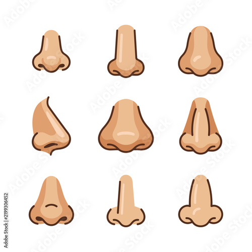 Set of human noses in various shapes and sizes