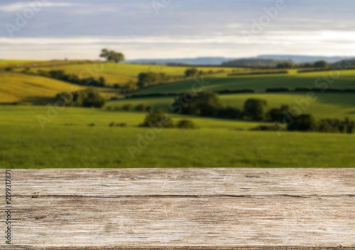 Fotografie Wooden table top on blur rice field and mountain background in daytime