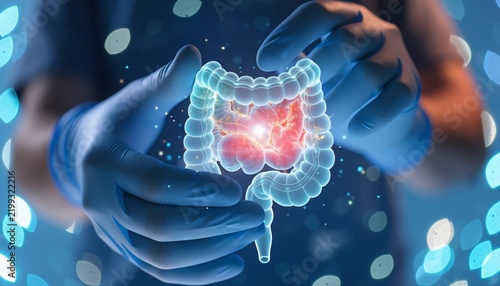 Doctor Hands in Gloves Holding 3D Hologram Human Intestine Digestive System Healthcare Concept