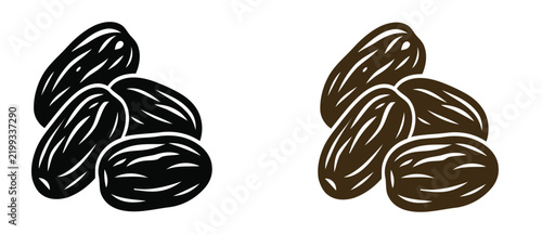 Фотография Detailed illustrations of dates a comparative study of black and brown varieties