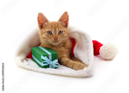 Cute ginger kitten in a Santa hat with a gift box isolated on white background.