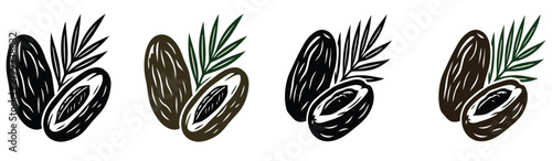 Konstfotografi Detailed illustrations of four different pine cone varieties displaying unique s