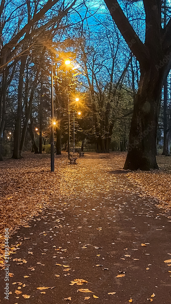 Obraz premium Path in the park with benches and street lights during twilight hours