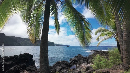 Scenic view of the rugged lava coast of Ke'anae Peninsula on Maui , Hawaii