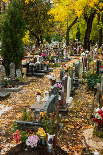 grave yard at the october