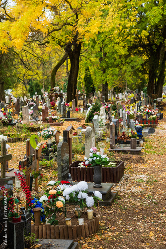 grave yard at the october