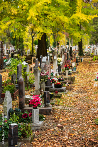 grave yard at the october