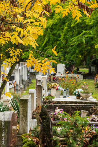 grave yard at the october