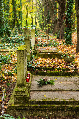 grave yard at the october