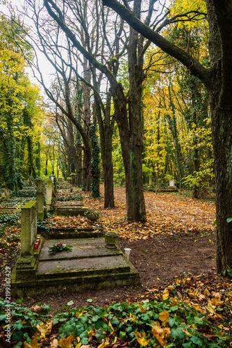 grave yard at the october