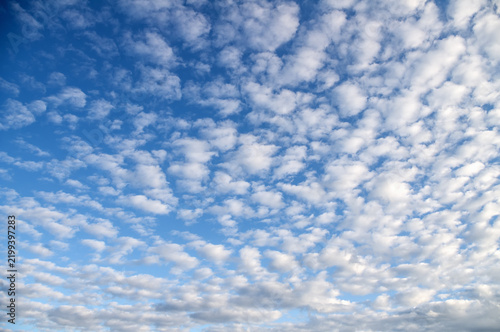 The sky covered with small white clouds