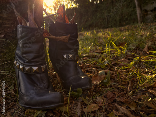 Black leather witch boots filled with dry leaves and branches beside a tree in warm golden backlight, creating a magical Halloween and witchcraft concept with generous copy space.