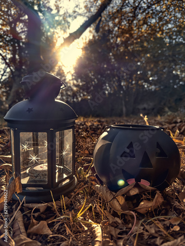 Black jack-o’-lantern Halloween bucket and decorative lantern arranged among dry autumn leaves in a woodland setting, illuminated by warm golden sunlight.