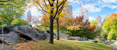 Bild auf Leinwand Autumn colors of Central Park, New York City