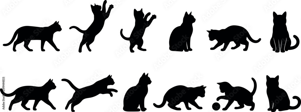 Fototapeta premium Black Cat Silhouette Set Featuring Domestic Pussycat Poses Like Jumping Stretching Stalking Sitting and Playing with Ball for Graphic Icons and Vector Design
