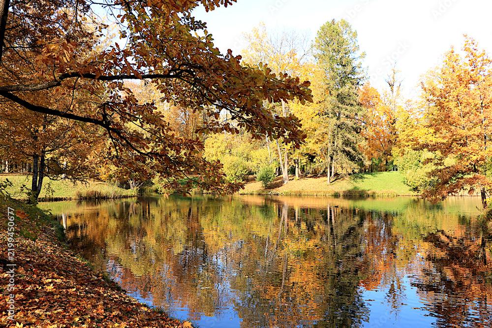 Obraz premium Lake surrounded by red and yellow foliage, with its reflection in the water on sunny day. Autumn park in Russia in September, picturesque autumn park landscape,vibrant autumn banner.