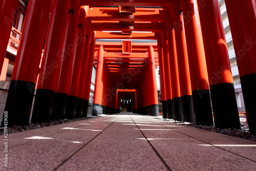 鮮やかな朱色の鳥居がどこまでも続く、神秘的な千本鳥居のトンネルと美しい参道