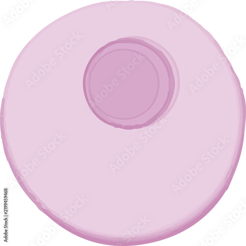 Soft pink watercolor round decoration with layered organic edges and subtle texture