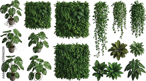 Set of Various Potted Tropical Plants and Decorative Vertical Green Wall Panels for Interior Design
