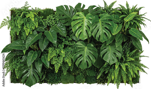 Lush Tropical Vertical Garden Wall Panel Featuring Monstera Fern and Philodendron Leaves Isolated Vector Illustration Design Asset