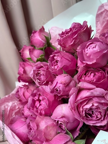 Bouquet of Pink Peony Roses, Romantic Garden Flowers