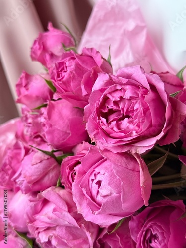 Bouquet of Pink Peony Roses, Romantic Garden Flowers