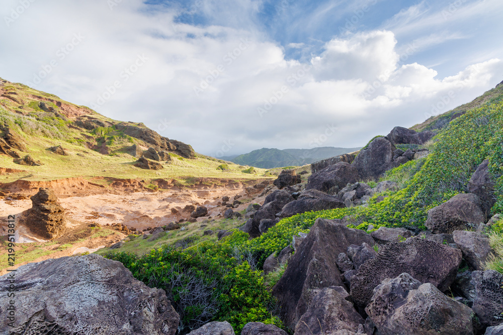 Obraz premium Lush Hawaiian landscape with hills and sky