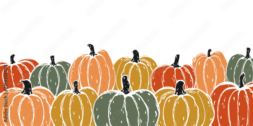 Obraz premium Thanksgiving and Halloween banner template with hand drawn autumn pumpkins on white background. Vector horizontal background
