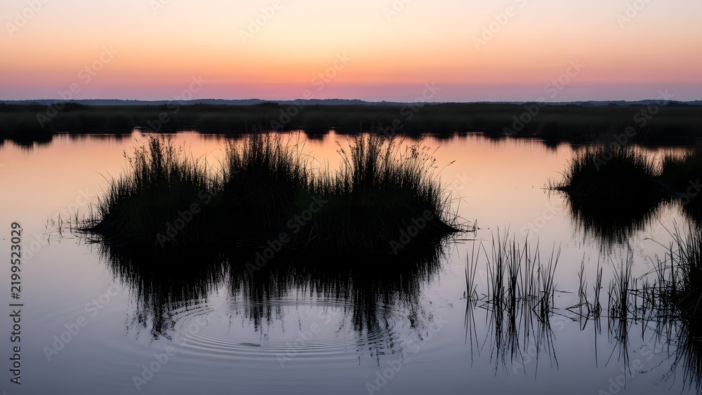 Fototapeta premium Serene Sunset Over Wetland Marsh Reflection.