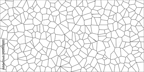 Minimal black and white voronoi pattern featuring a complex network of irregular polygonal cells, creating a geometric and organic texture scientific, biological or abstract backgrounds