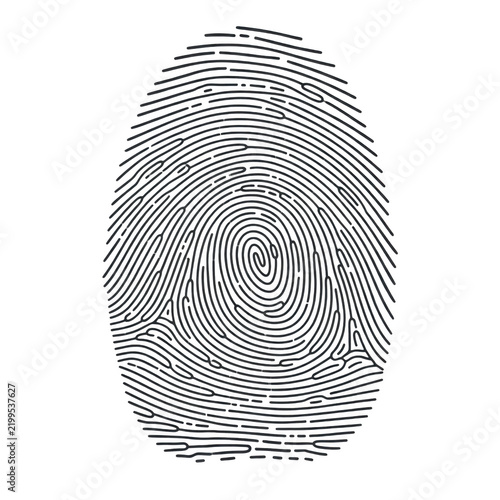 Detailed fingerprint pattern black and white
