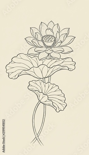 Lotus flower blooming above two large curling leaves whose stems twist together in a slow embrace