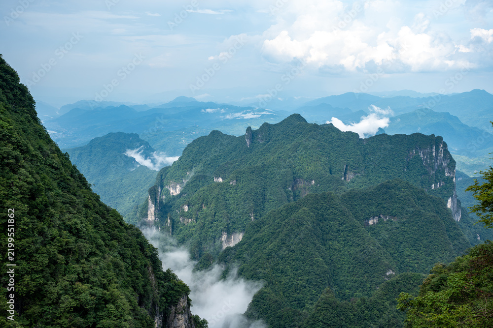 Obraz premium Stunning horizontal landscape of rugged, green mountain peaks jutting out from a sea of thick white fog, showcasing the dramatic elevation and dense vegetation.
