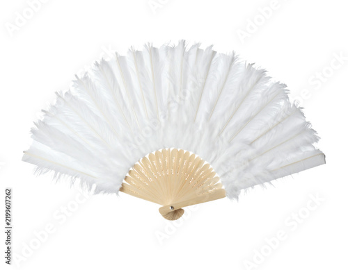 White feather fan accessory with wooden handle held for elegant dance performance or costume decoration 