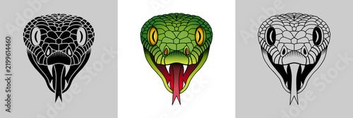 3 Versions d’une tête de serpent de face, dessinée en silhouette noire, en couleur et en contour filaire - animal correspondant à 1 des 12 signes des l’astrologie chinoise.