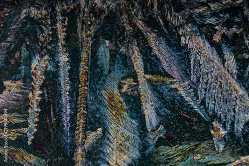 Fotografie Feathery dendritic crystals of magnesium sulfate under polarized light microscope