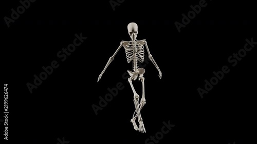 Skeleton Hip Hop Dancing Character Animation with Alpha Channel Transparent Background