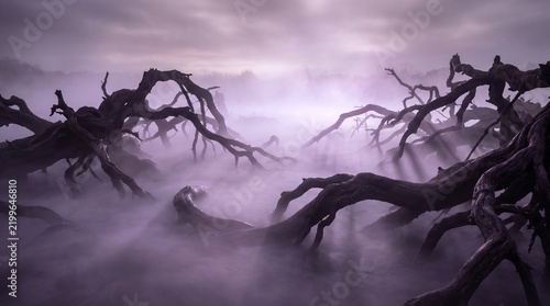 Twisted tree roots emerge from a misty atmospheric landscape