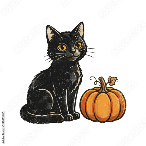 Elegant Black Cat and Autumn Harvest Pumpkin Illustration