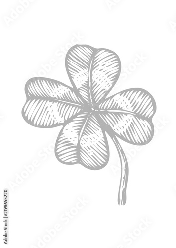 Hand drawn four leaf clover vector illustration sketch style good luck charm isolated on white background