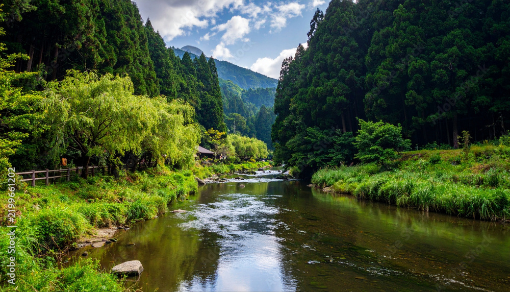 Fototapeta premium 青空と雲の下で緑の木々と山並みが水面に映える川辺の橋と柵のある風景写真