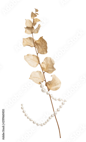 Dried Leaf Branch with Natural Texture and Subtle Colors for Artistic Design.