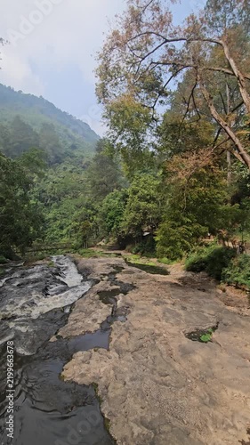 Serene Mountain Stream Flowing Through Lush Green Forest Landscape