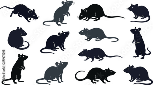 Collection of black rodent stencils showing running standing sitting and sniffing poses for pest control or Halloween designs