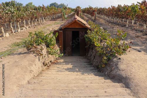 Obraz na płótnie Underground Wine Cellar Entrance in a Vineyard