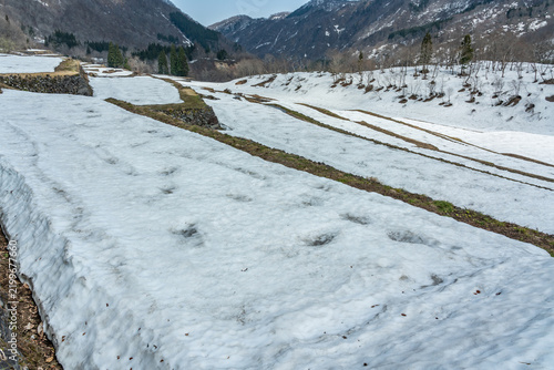 残雪が多く残る結束の石垣田