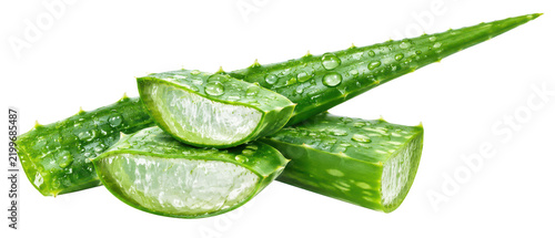 aloe vera plant slices, isolated illustration on transparent background